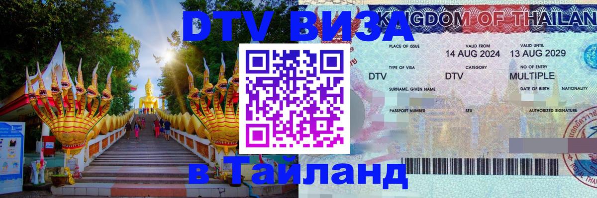 Сколько стоит DTV виза — актуальные цены, оформление даже без документов - 